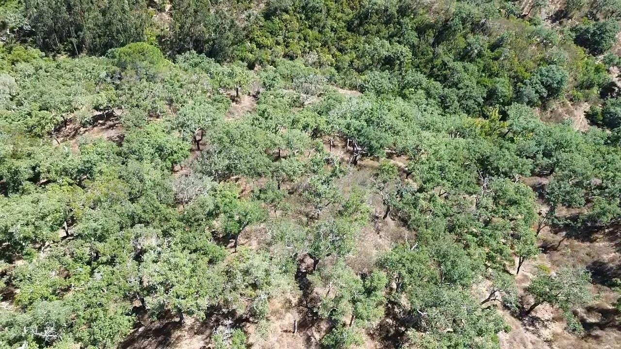 Terreno para Venda em São Francisco da Serra Foto 20