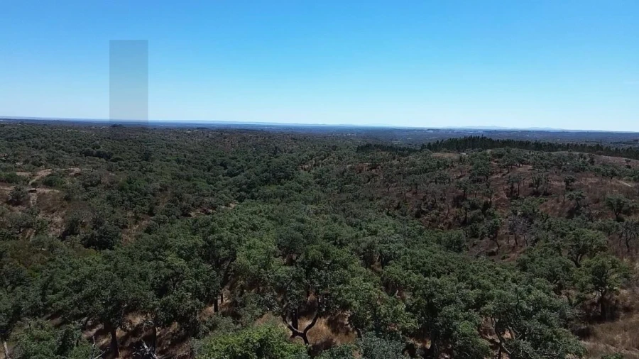 Terreno para Venda em São Francisco da Serra Foto 14