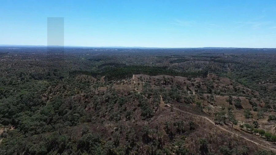 Terreno para Venda em São Francisco da Serra Foto 19