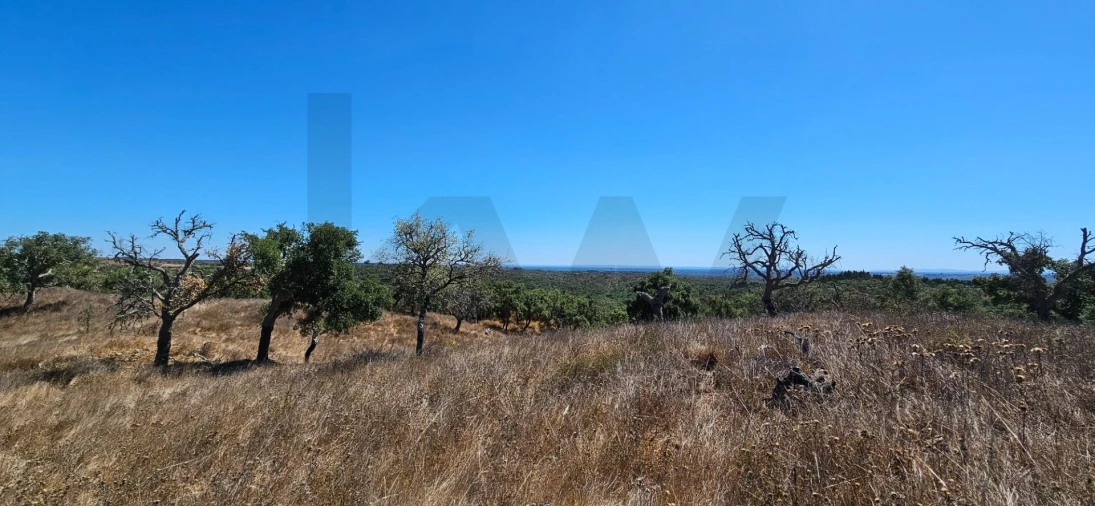 Terreno para Venda em São Francisco da Serra Foto 2