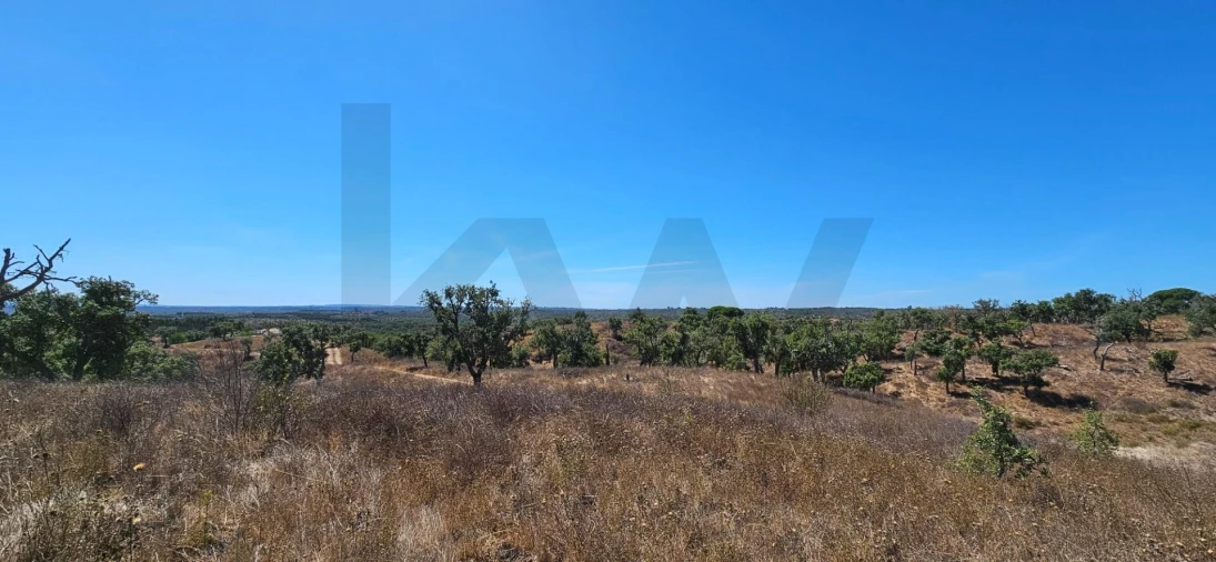 Terreno para Venda em São Francisco da Serra Foto 3