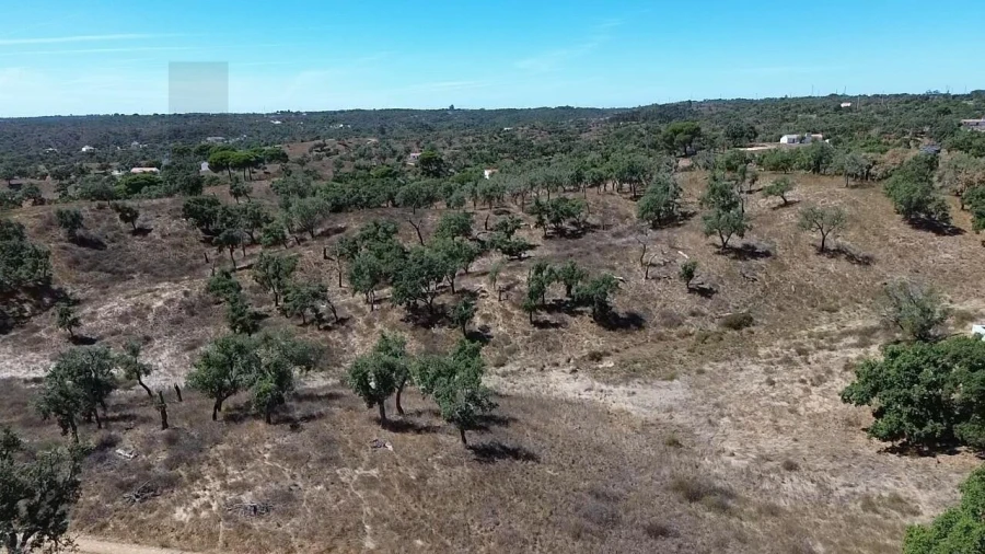 Terreno para Venda em São Francisco da Serra Foto 22