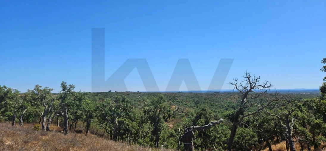 Terreno para Venda em São Francisco da Serra Foto 12