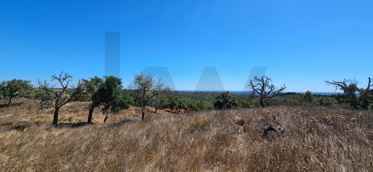 Terreno para Venda em São Francisco da Serra Foto 2