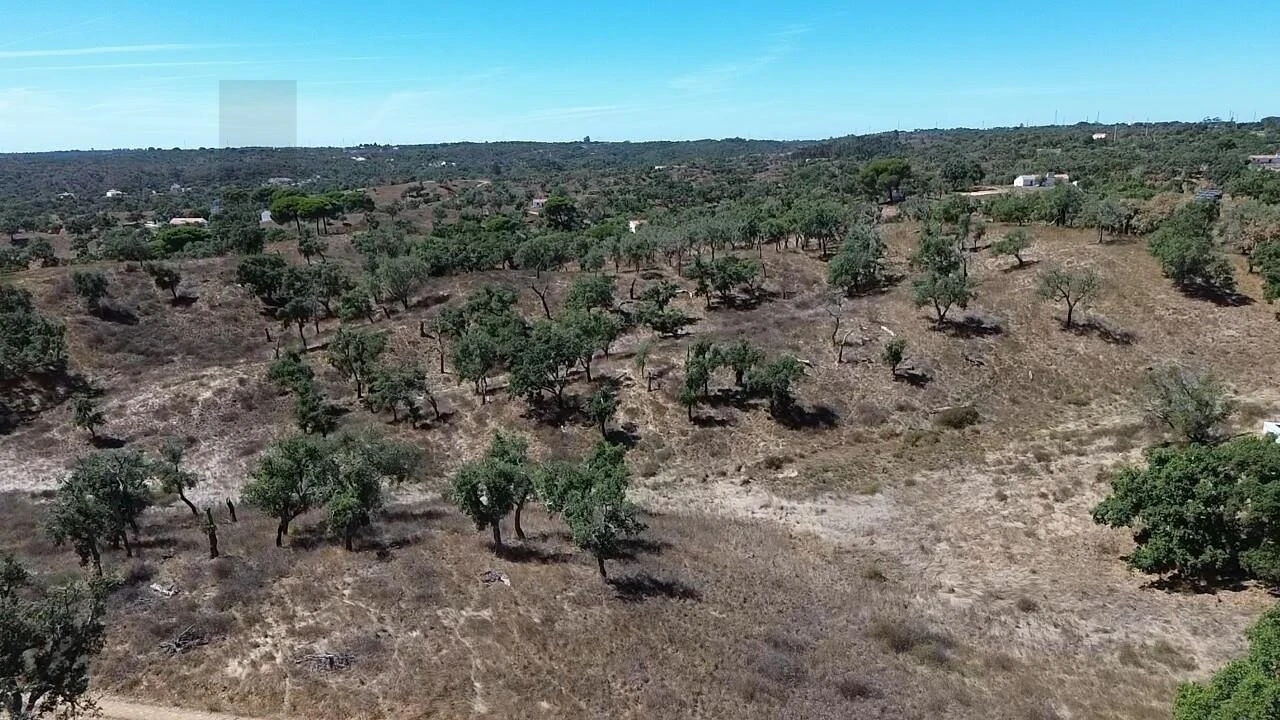 Terreno para Venda em São Francisco da Serra Foto 22