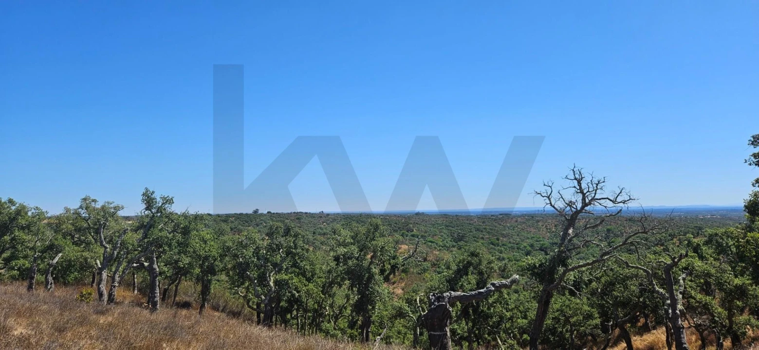 Terreno para Venda em São Francisco da Serra Foto 12