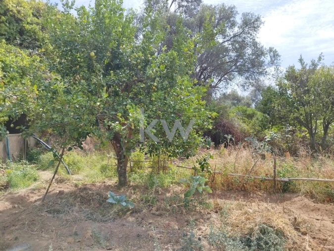 Moradia T3 para Venda em Monchique Foto 46