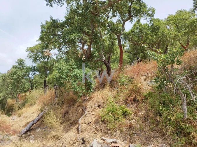 Moradia T3 para Venda em Monchique Foto 37