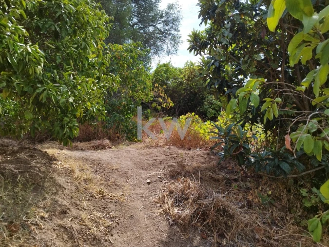 Moradia T3 para Venda em Monchique Foto 43