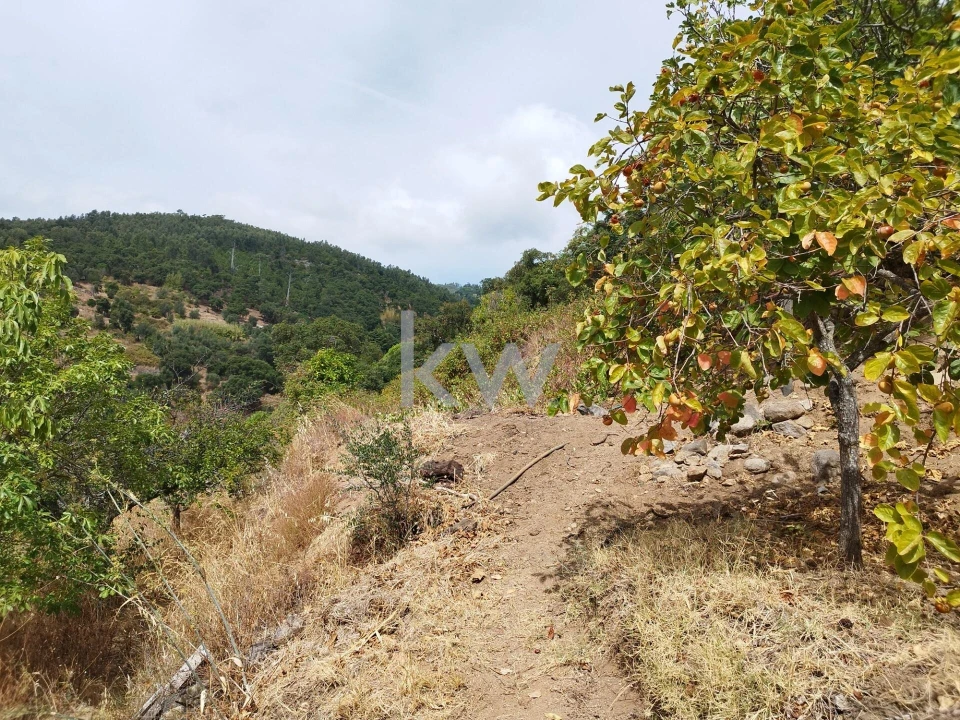 Moradia T3 para Venda em Monchique Foto 41