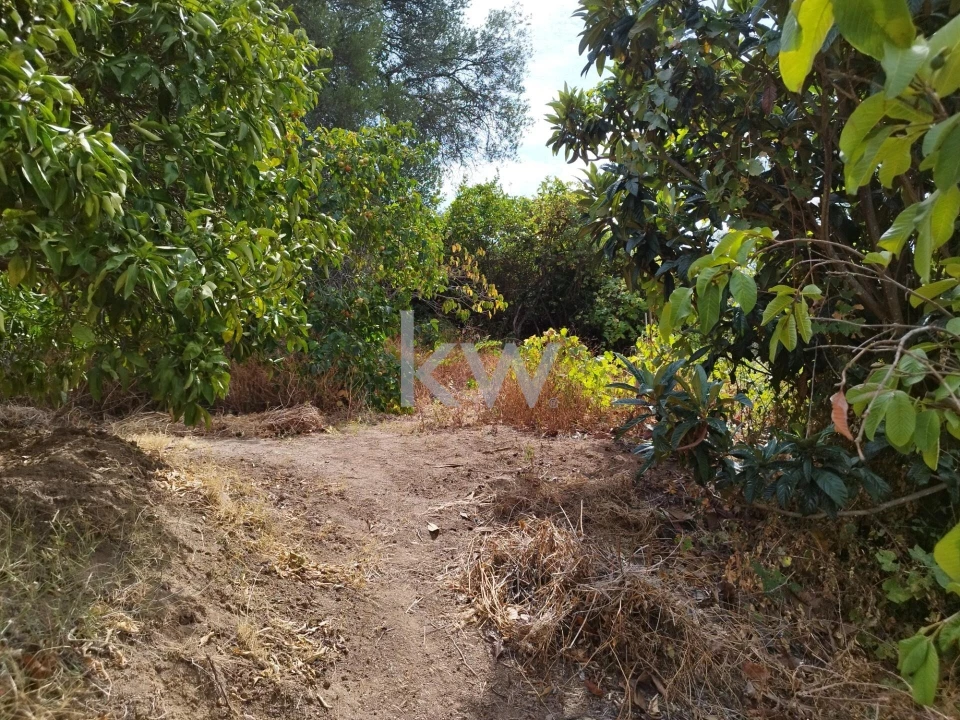 Moradia T3 para Venda em Monchique Foto 43