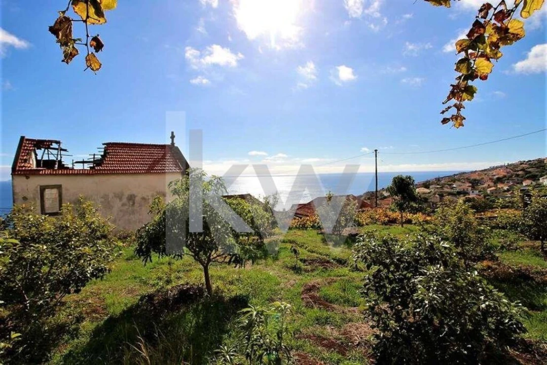 Quinta T5 para Venda em Gaula Foto 18