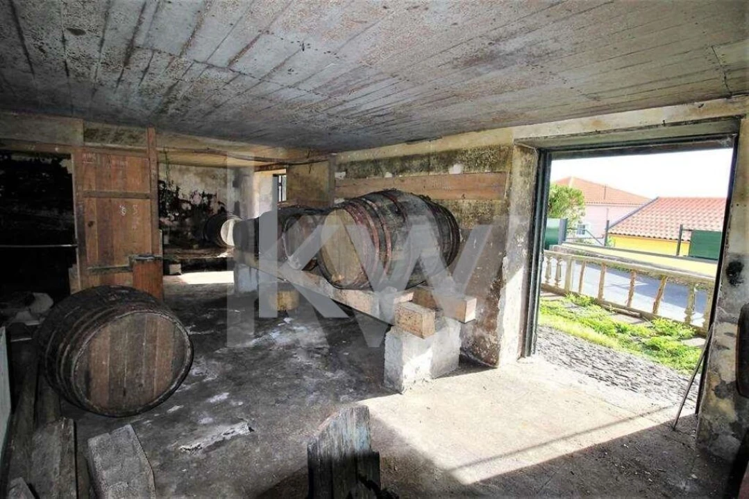 Quinta T5 para Venda em Gaula Foto 8