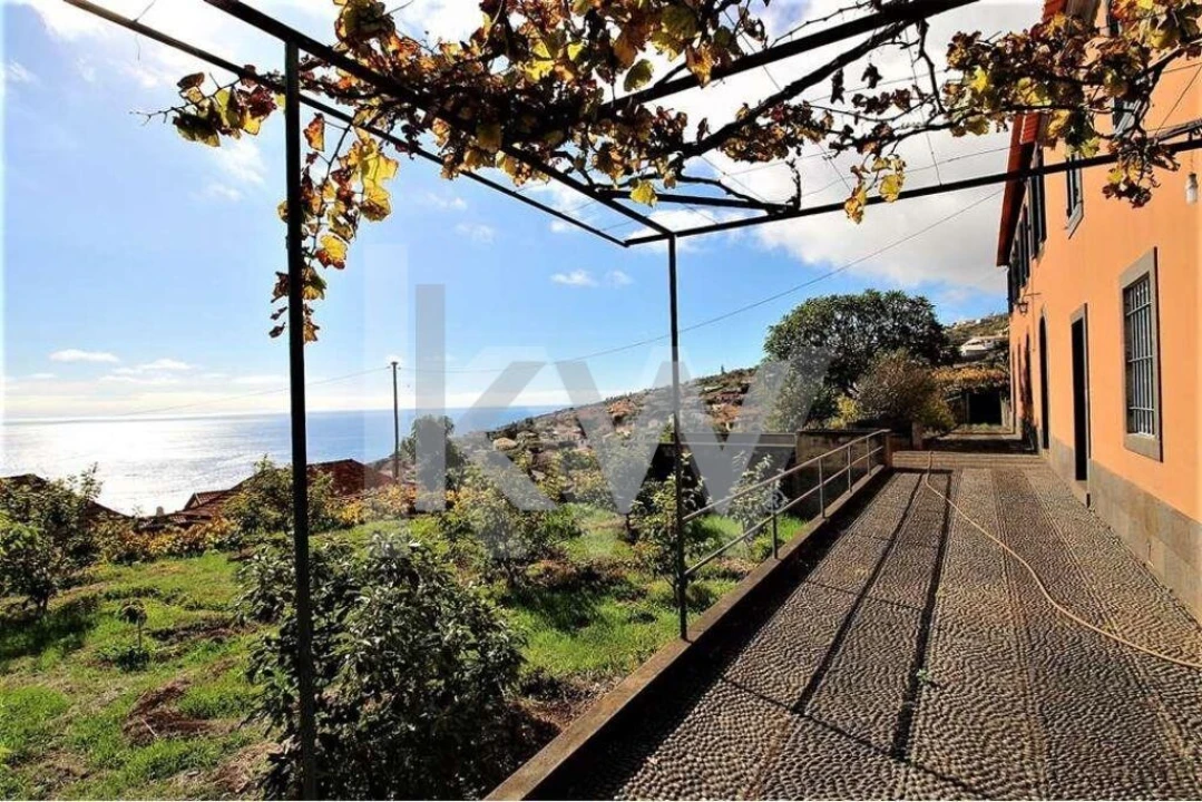 Quinta T5 para Venda em Gaula Foto 20