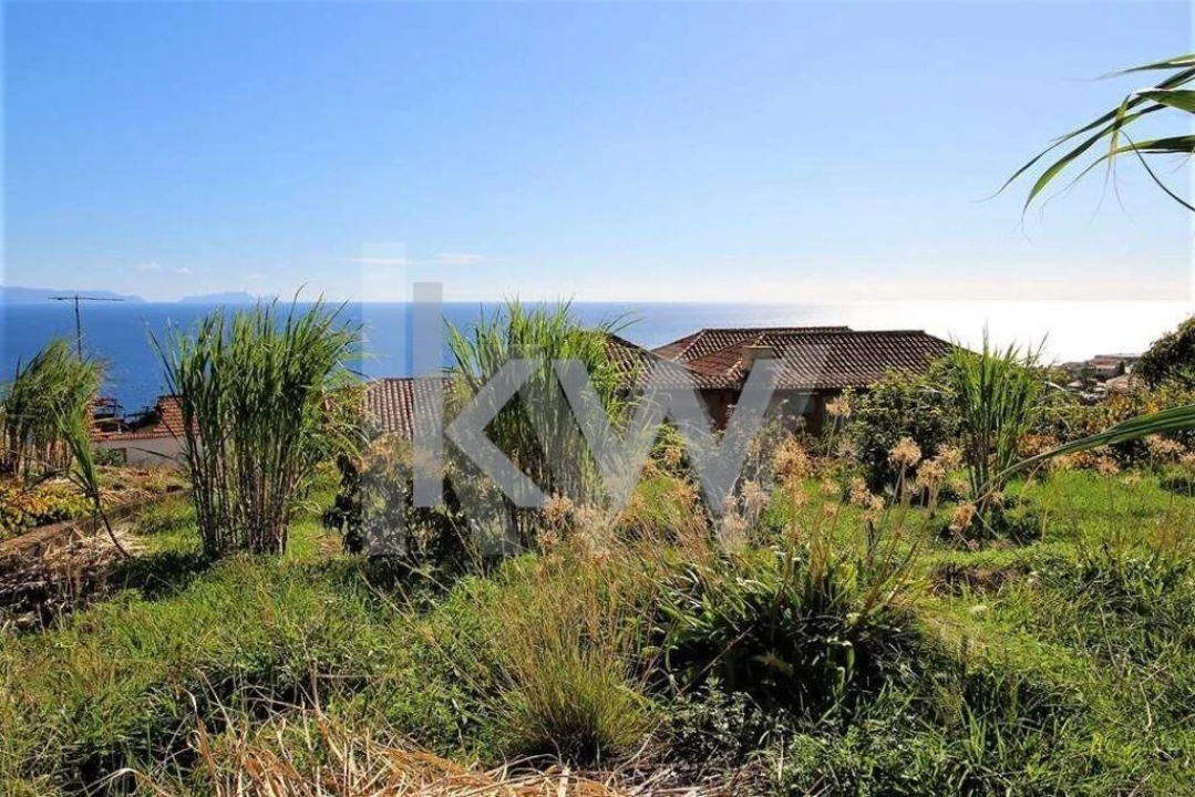 Quinta T5 para Venda em Gaula Foto 67