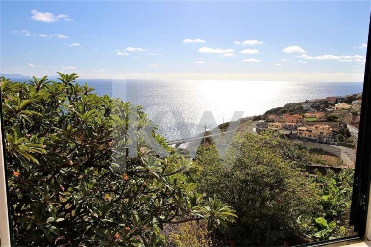 Quinta T5 para Venda em Gaula Foto 5