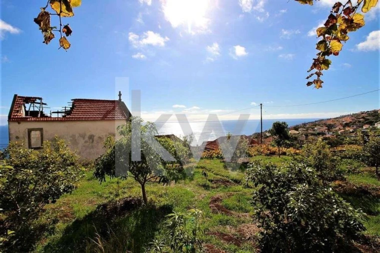 Quinta T5 para Venda em Gaula Foto 18