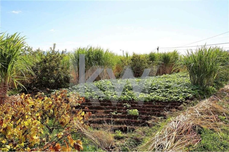 Quinta T5 para Venda em Gaula Foto 53