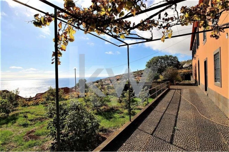 Quinta T5 para Venda em Gaula Foto 20