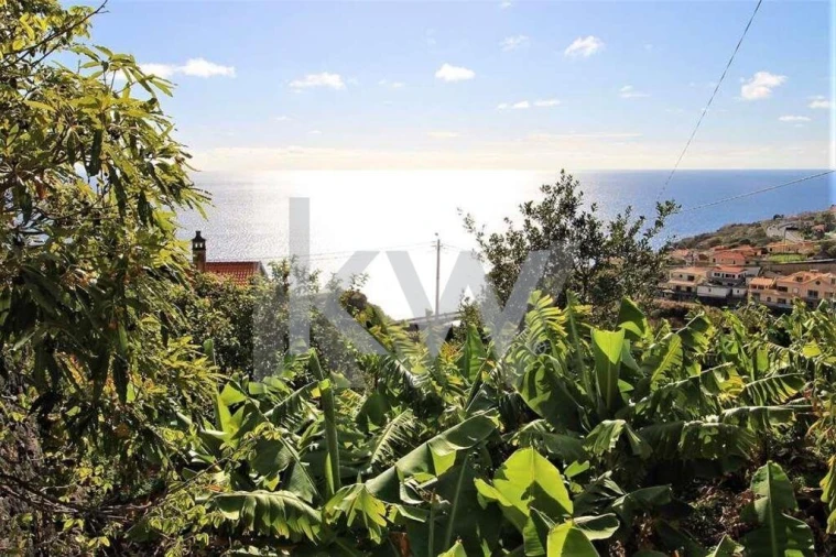 Quinta T5 para Venda em Gaula Foto 24