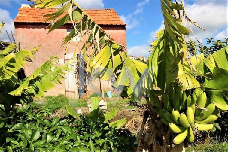 Quinta T5 para Venda em Gaula Foto 58