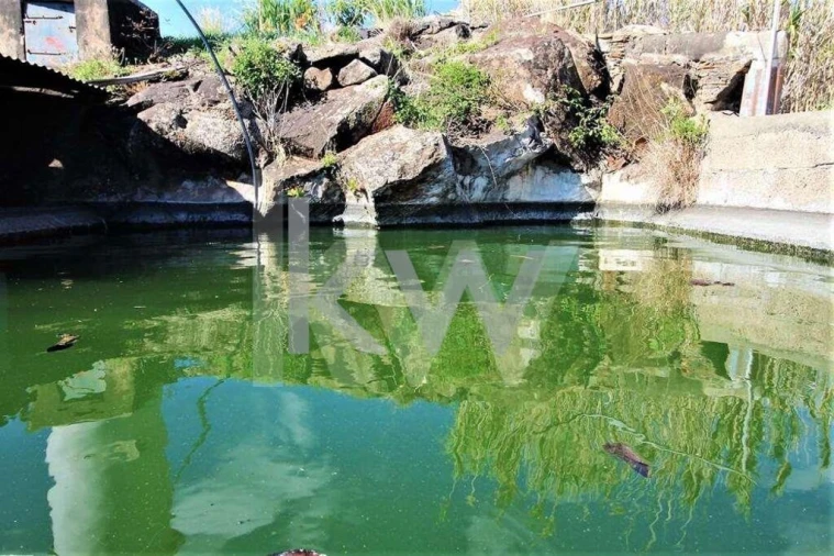 Quinta T5 para Venda em Gaula Foto 73