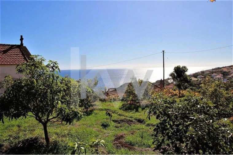 Quinta T5 para Venda em Gaula Foto 75