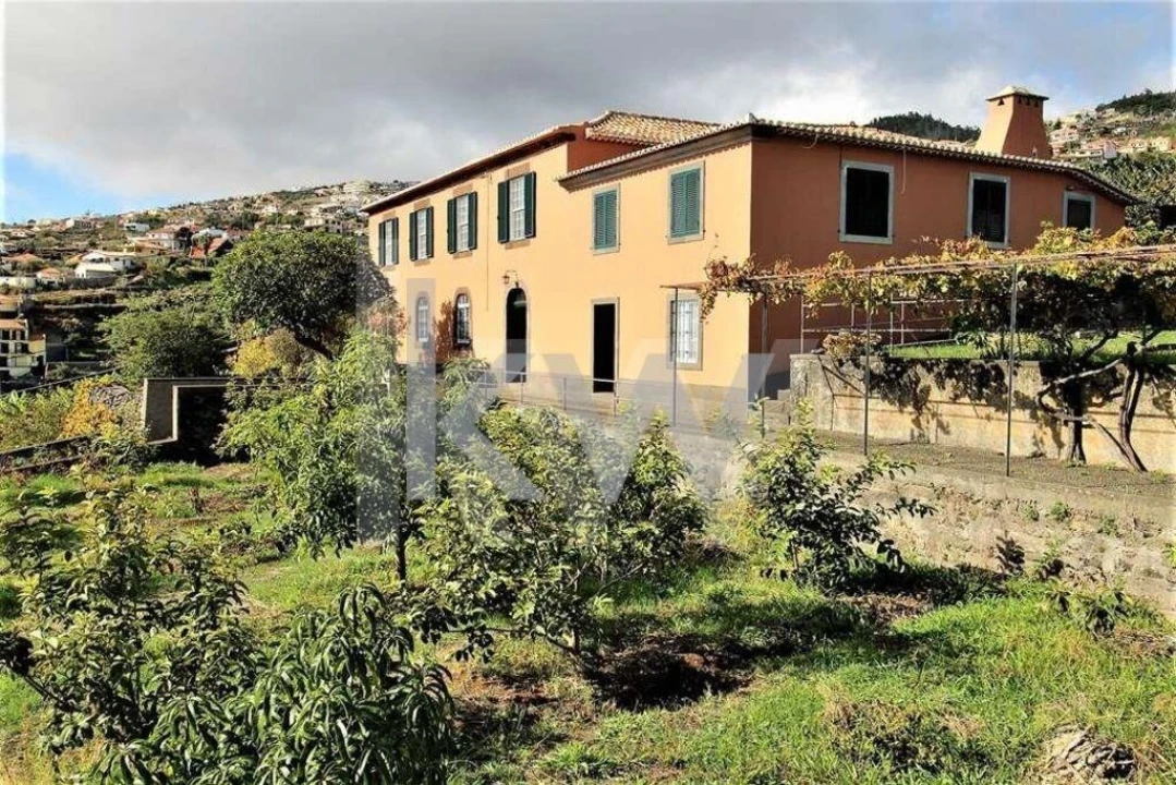 Quinta T5 para Venda em Gaula Foto 1