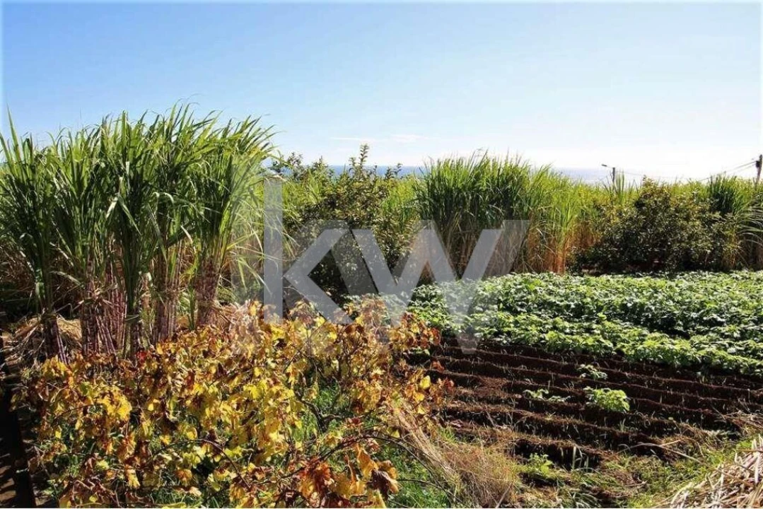 Quinta T5 para Venda em Gaula Foto 64