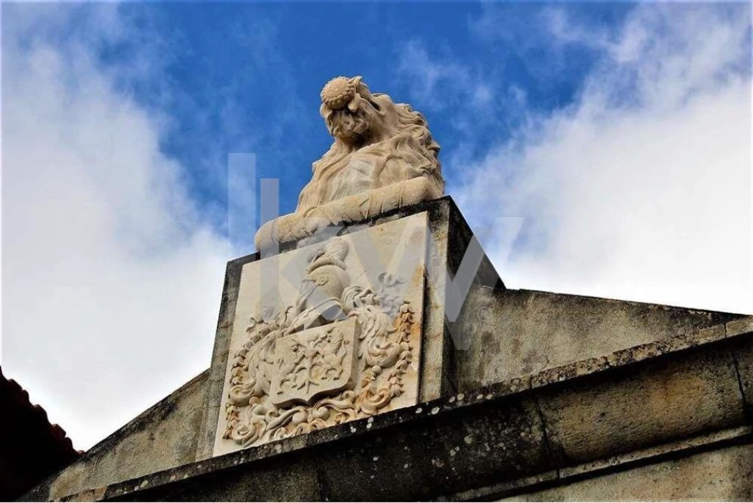 Quinta T5 para Venda em Gaula Foto 4