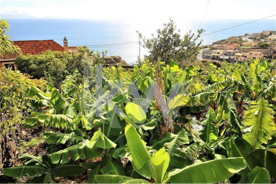 Quinta T5 para Venda em Gaula Foto 22