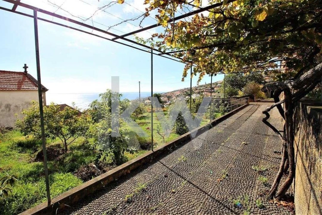 Quinta T5 para Venda em Gaula Foto 17