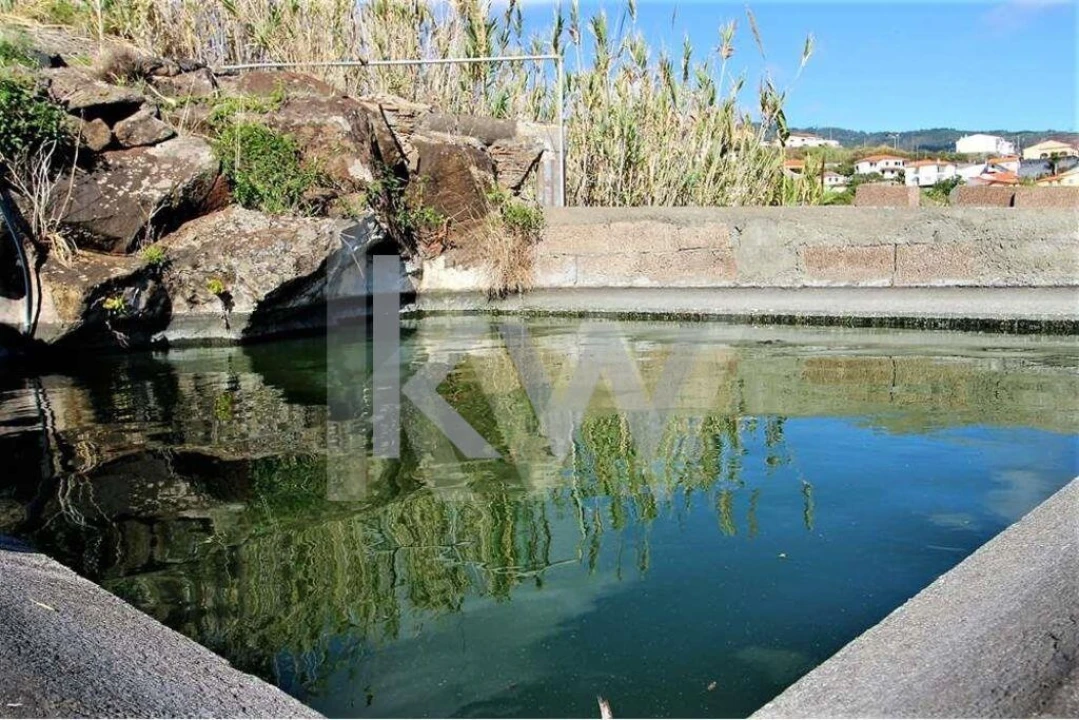 Quinta T5 para Venda em Gaula Foto 72