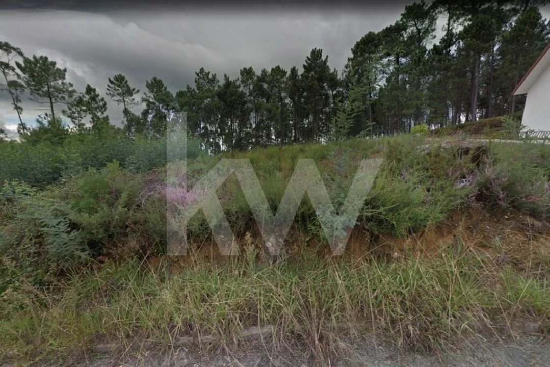 Terreno para Venda em O. Azeméis, Riba-Ul, Ul, Macinhata Seixa, Madail Foto 8
