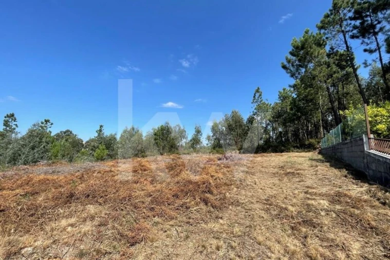 Terreno para Venda em O. Azeméis, Riba-Ul, Ul, Macinhata Seixa, Madail Foto 1