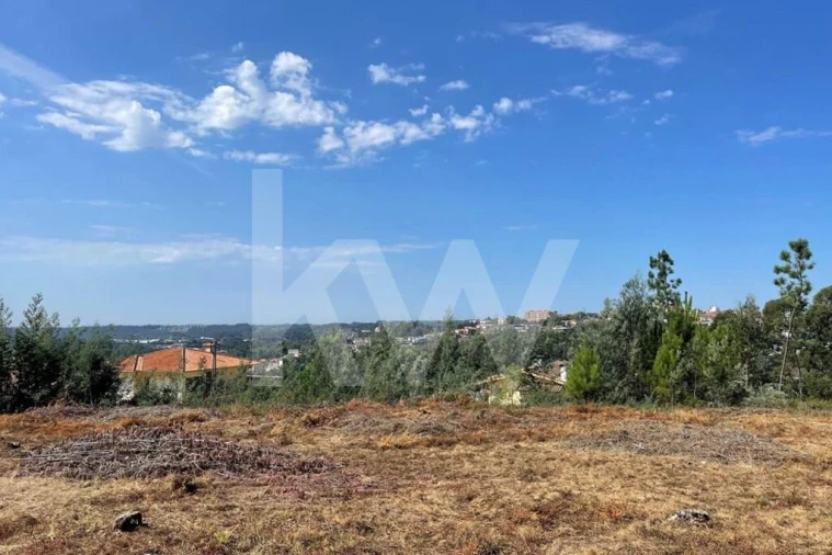 Terreno para Venda em O. Azeméis, Riba-Ul, Ul, Macinhata Seixa, Madail Foto 6