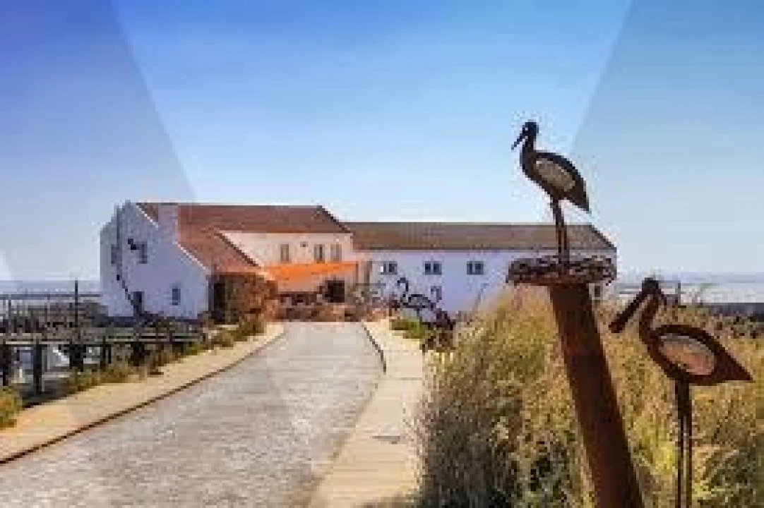 Quinta T5 para Venda em Setubal (São Sebastião) Foto 8