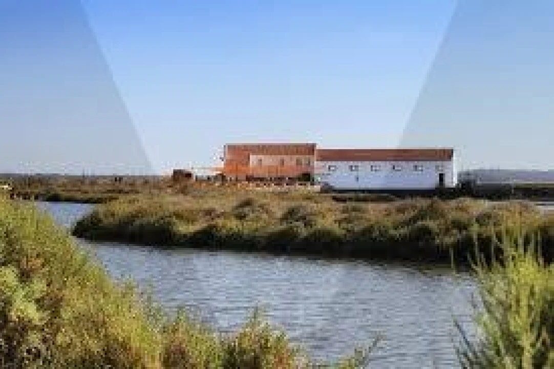 Quinta T5 para Venda em Setubal (São Sebastião) Foto 5