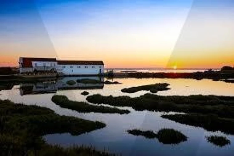 Quinta T5 para Venda em Setubal (São Sebastião) Foto 6