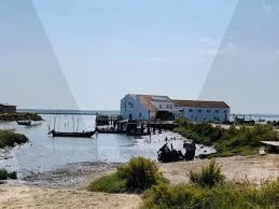 Quinta T5 para Venda em Setubal (São Sebastião) Foto 3