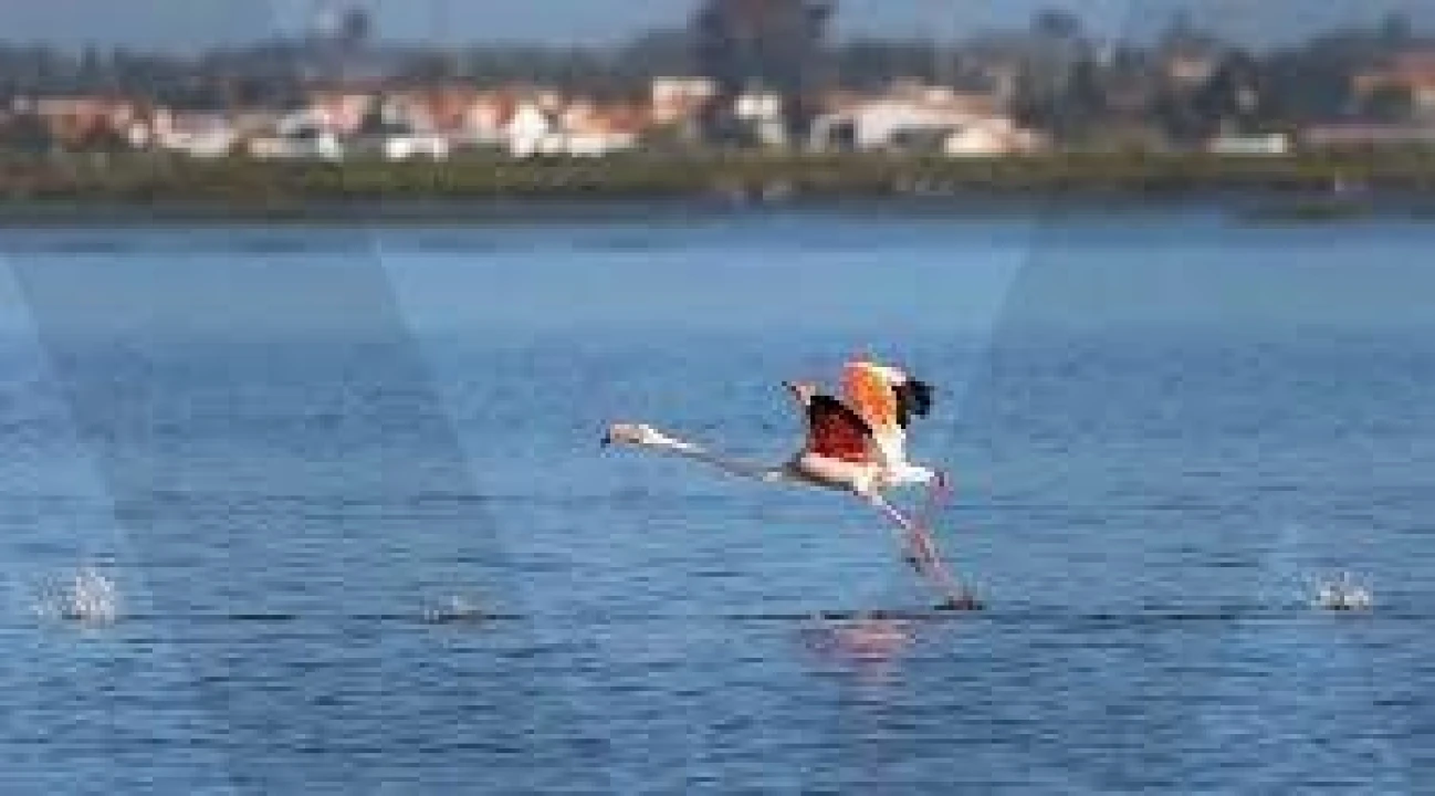 Quinta T5 para Venda em Setubal (São Sebastião) Foto 4