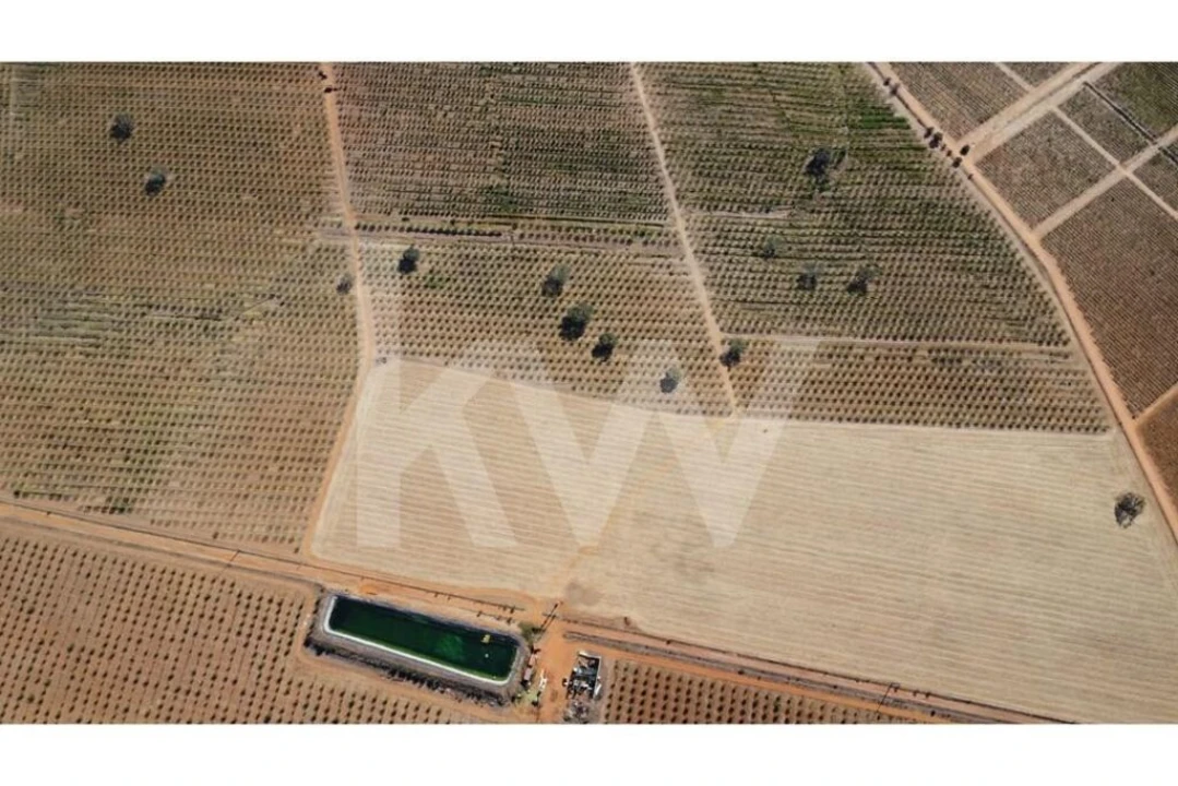 Terreno para Venda em Albernoa e Trindade Foto 13