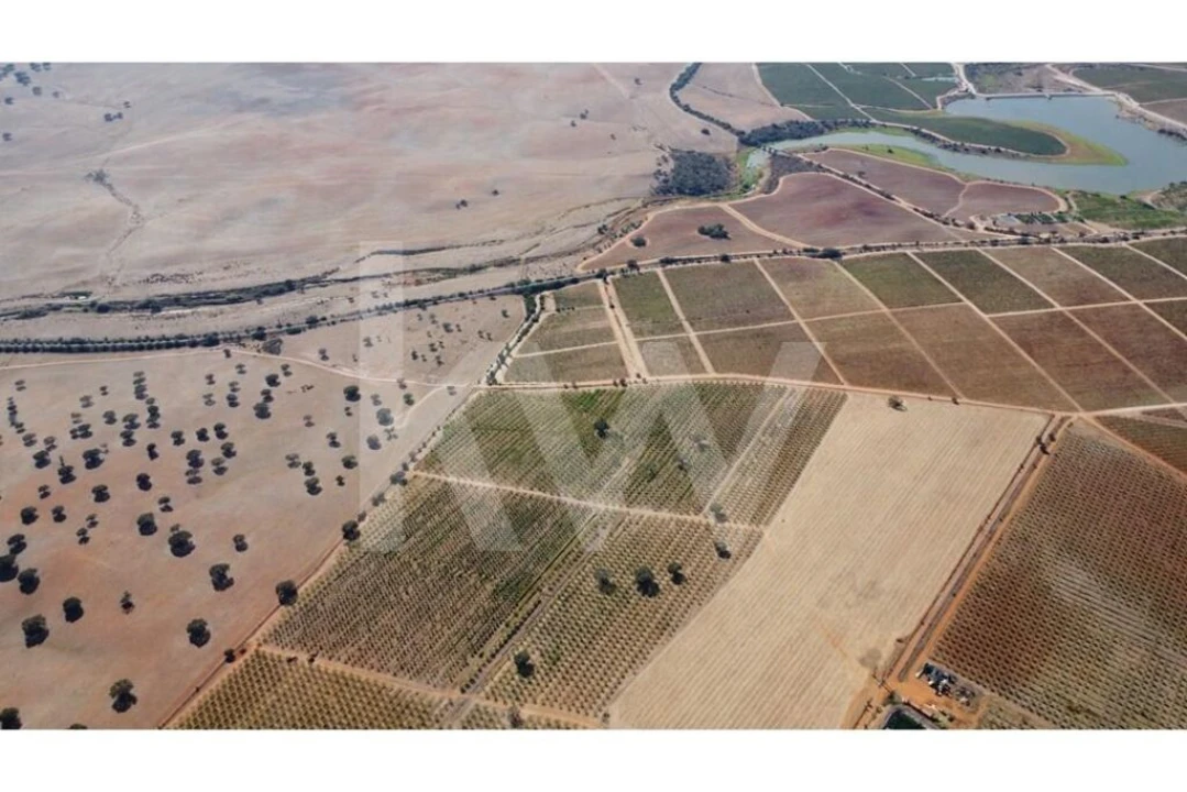 Terreno para Venda em Albernoa e Trindade Foto 4