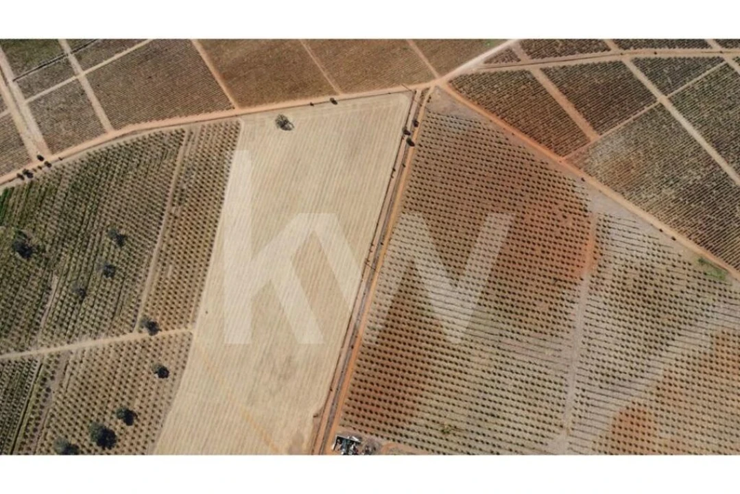 Terreno para Venda em Albernoa e Trindade Foto 10