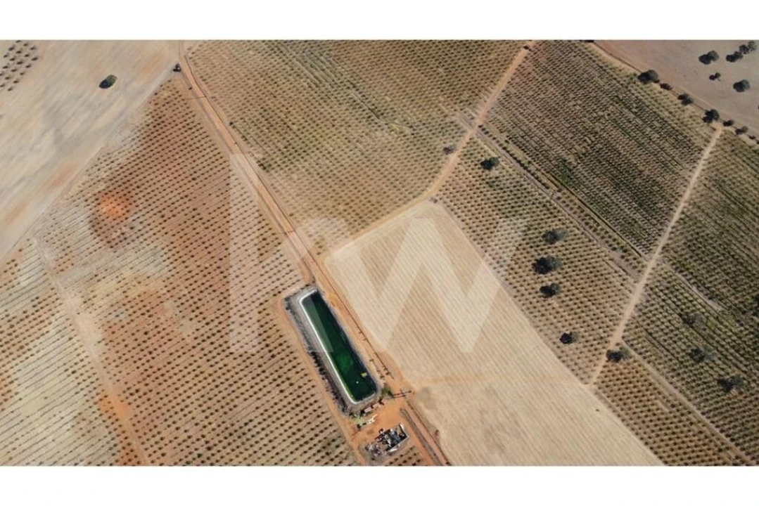 Terreno para Venda em Albernoa e Trindade Foto 14