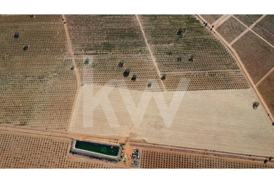 Terreno para Venda em Albernoa e Trindade Foto 9