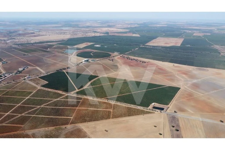 Terreno para Venda em Albernoa e Trindade Foto 7