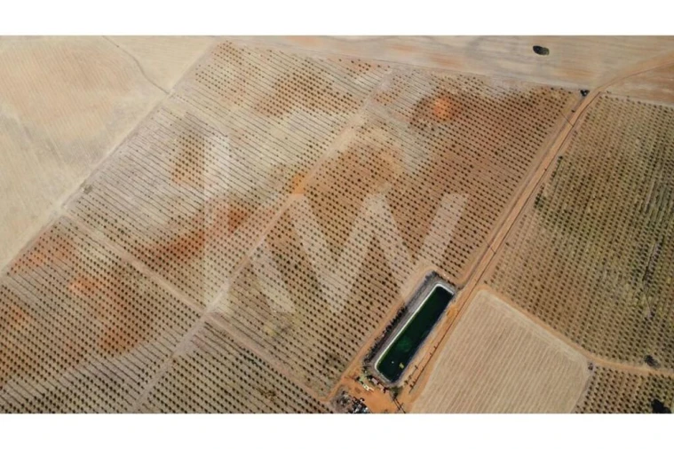 Terreno para Venda em Albernoa e Trindade Foto 15