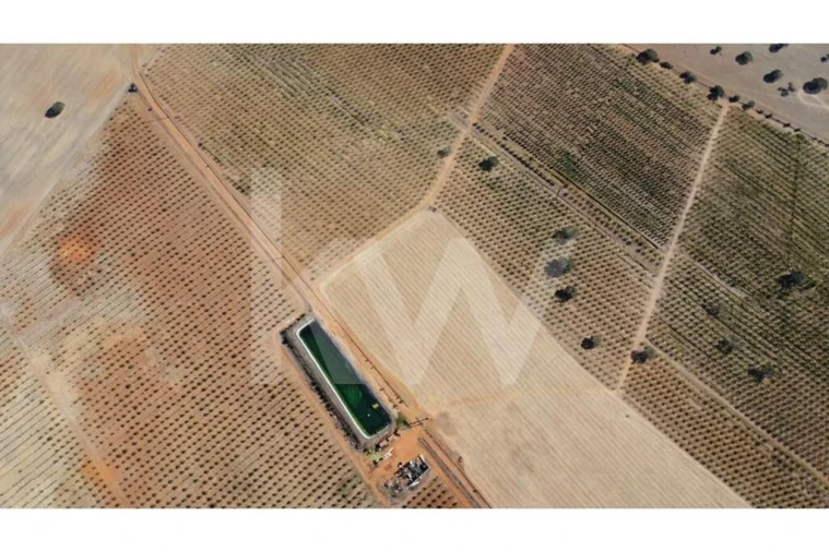 Terreno para Venda em Albernoa e Trindade Foto 16