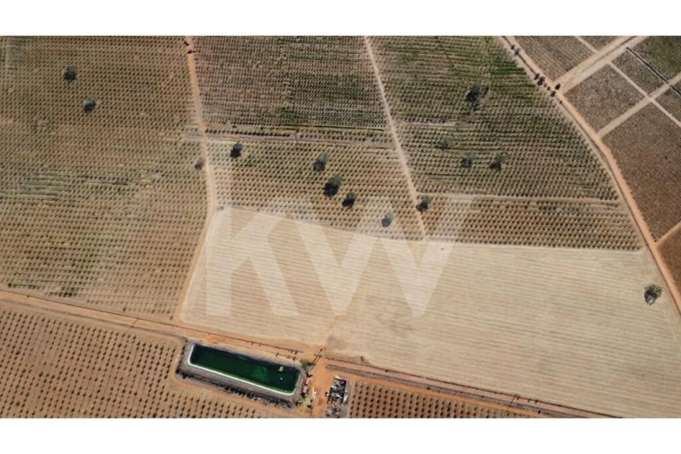 Terreno para Venda em Albernoa e Trindade Foto 13